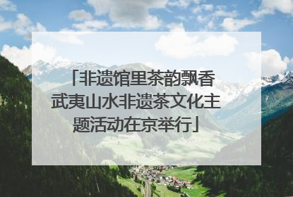 非遗馆里茶韵飘香 武夷山水非遗茶文化主题活动在京举行