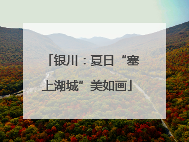 银川：夏日“塞上湖城”美如画