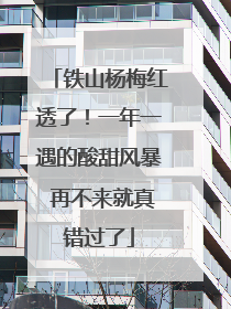 铁山杨梅红透了！一年一遇的酸甜风暴 再不来就真错过了