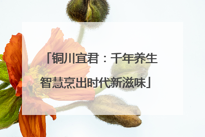 铜川宜君：千年养生智慧烹出时代新滋味