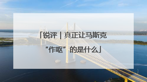 锐评｜真正让马斯克“作呕”的是什么