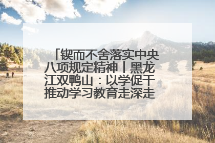 锲而不舍落实中央八项规定精神丨黑龙江双鸭山：以学促干推动学习教育走深走实 从小事入手写好“民生答卷”