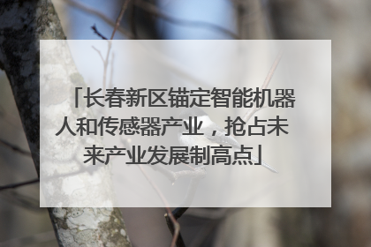 长春新区锚定智能机器人和传感器产业，抢占未来产业发展制高点