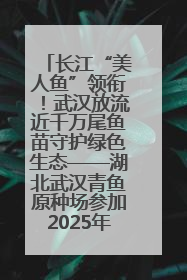 长江“美人鱼”领衔！武汉放流近千万尾鱼苗守护绿色生态——湖北武汉青鱼原种场参加2025年“全国放鱼日”增殖放流活动