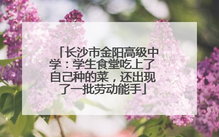 长沙市金阳高级中学：学生食堂吃上了自己种的菜，还出现了一批劳动能手