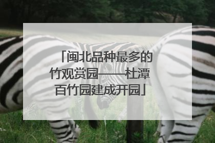 闽北品种最多的竹观赏园——杜潭百竹园建成开园