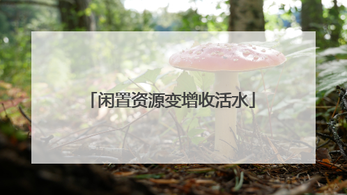 闲置资源变增收活水