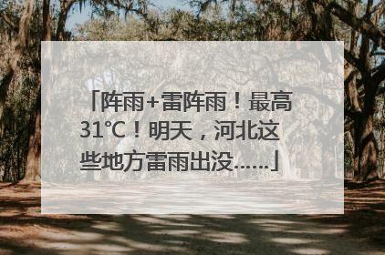 阵雨+雷阵雨！最高31℃！明天，河北这些地方雷雨出没……