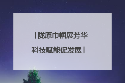 陇原巾帼展芳华 科技赋能促发展