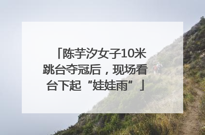 陈芋汐女子10米跳台夺冠后，现场看台下起“娃娃雨”