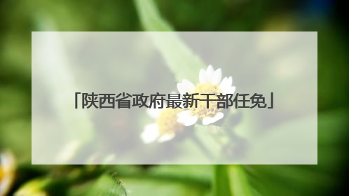 陕西省政府最新干部任免