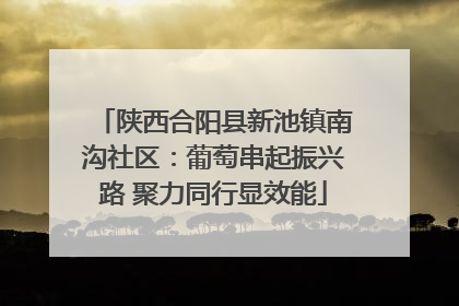 陕西合阳县新池镇南沟社区：葡萄串起振兴路 聚力同行显效能