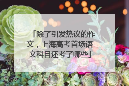 除了引发热议的作文，上海高考首场语文科目还考了哪些