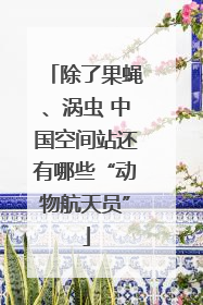 除了果蝇、涡虫 中国空间站还有哪些“动物航天员”