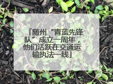随州“青蓝先锋队”成立一周年，他们活跃在交通运输执法一线