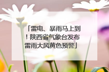 雷电、暴雨马上到！陕西省气象台发布雷雨大风黄色预警