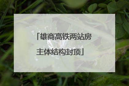 雄商高铁两站房主体结构封顶