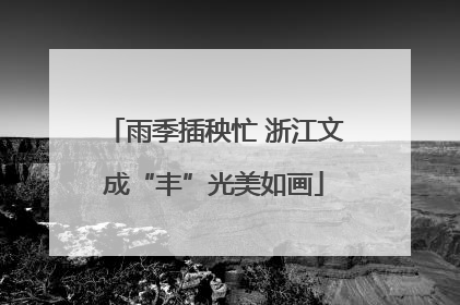 雨季插秧忙 浙江文成“丰”光美如画