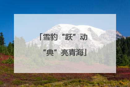 雪豹“跃”动 “典”亮青海