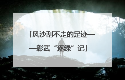 风沙刮不走的足迹——彰武“逐绿”记
