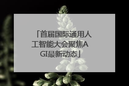 首届国际通用人工智能大会聚焦AGI最新动态