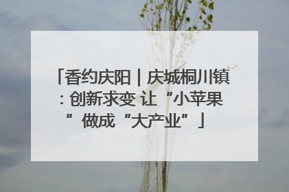 香约庆阳｜庆城桐川镇：创新求变 让“小苹果”做成“大产业”