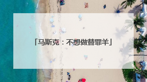 马斯克：不想做替罪羊