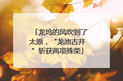 龙坞的风吹到了太原，“龙池古井”斩获两项殊荣