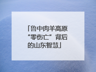 鲁中肉羊高原“零伤亡”背后的山东智慧