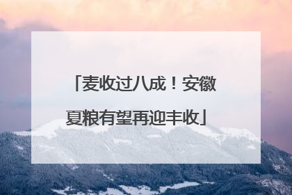 麦收过八成！安徽夏粮有望再迎丰收