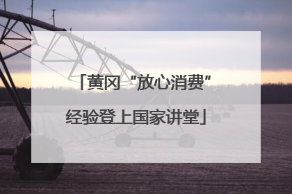 黄冈“放心消费”经验登上国家讲堂