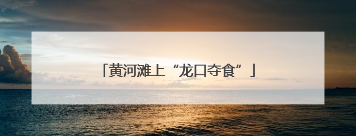 黄河滩上“龙口夺食”