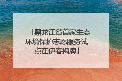 黑龙江省首家生态环境保护志愿服务试点在伊春揭牌
