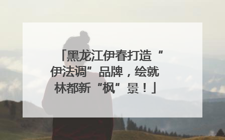 黑龙江伊春打造“伊法调”品牌，绘就林都新“枫”景！