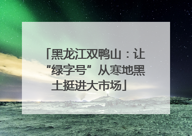 黑龙江双鸭山：让“绿字号”从寒地黑土挺进大市场