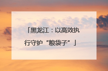 黑龙江：以高效执行守护“粮袋子”