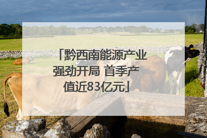 黔西南能源产业强劲开局 首季产值近83亿元