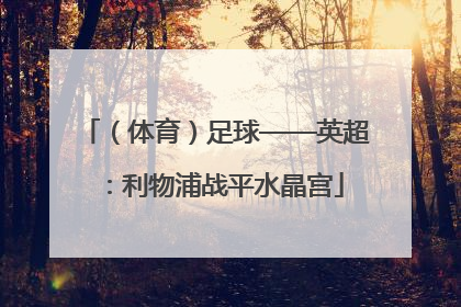 （体育）足球——英超：利物浦战平水晶宫