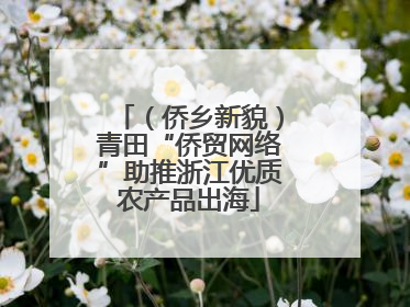 （侨乡新貌）青田“侨贸网络”助推浙江优质农产品出海