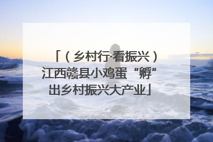 （乡村行·看振兴）江西赣县小鸡蛋“孵”出乡村振兴大产业