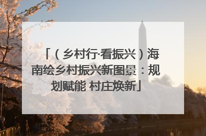 （乡村行·看振兴）海南绘乡村振兴新图景：规划赋能 村庄焕新