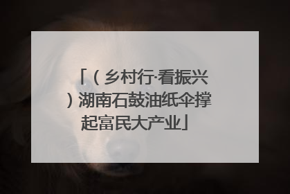 （乡村行·看振兴）湖南石鼓油纸伞撑起富民大产业