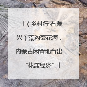 （乡村行·看振兴）荒沟变花海：内蒙古闲置地育出“花漾经济”