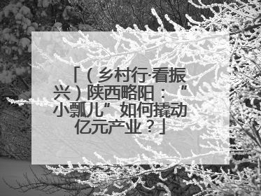 （乡村行·看振兴）陕西略阳：“小瓢儿”如何撬动亿元产业？