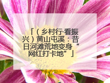 （乡村行·看振兴）黄山屯溪：昔日河滩荒地变身“网红打卡地”