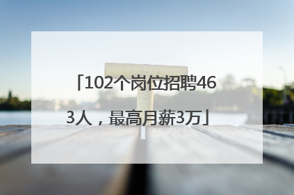102个岗位招聘463人，最高月薪3万