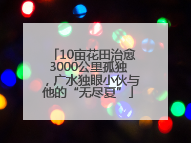 10亩花田治愈3000公里孤独，广水独眼小伙与他的“无尽夏”