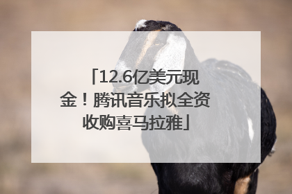12.6亿美元现金！腾讯音乐拟全资收购喜马拉雅