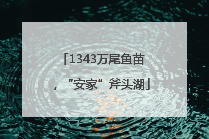 1343万尾鱼苗，“安家”斧头湖