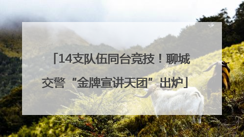 14支队伍同台竞技！聊城交警“金牌宣讲天团”出炉